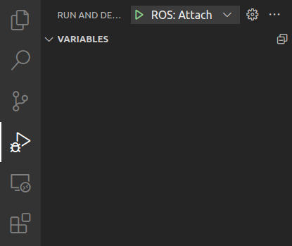vscode_debug_attach